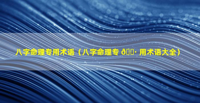 八字命理专用术语（八字命理专 🕷 用术语大全）